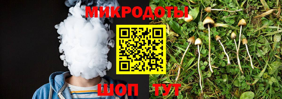 Раменское  Псилоцибиновые грибы мухоморы  Вход с VPN 